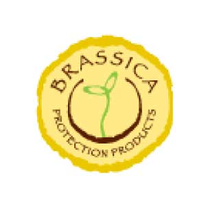 Founding silver sponsor Brassica logo